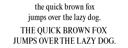 Times New Roman Font for dissertation writing