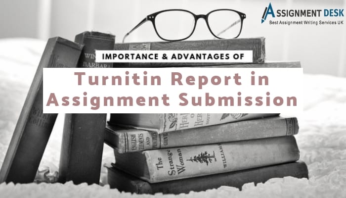 Important Points of Turnitin Report