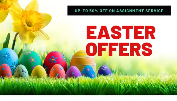 Assignment Help Uk