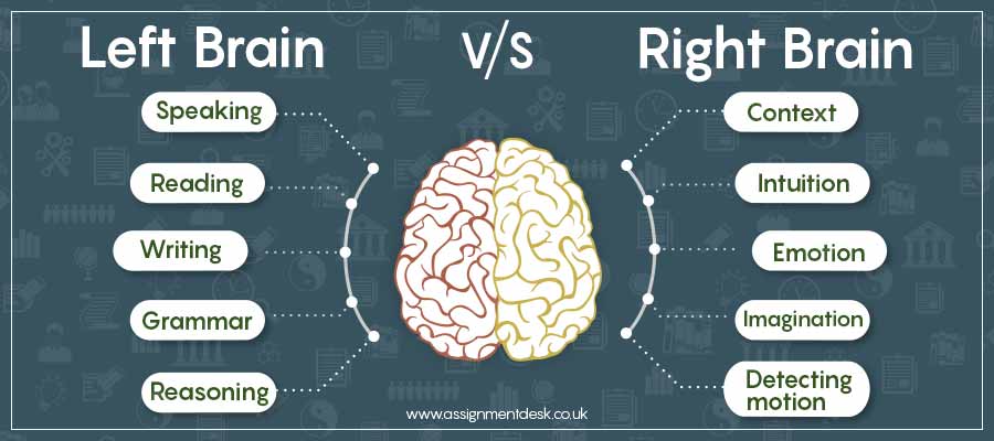Left Brain vs Right Brain