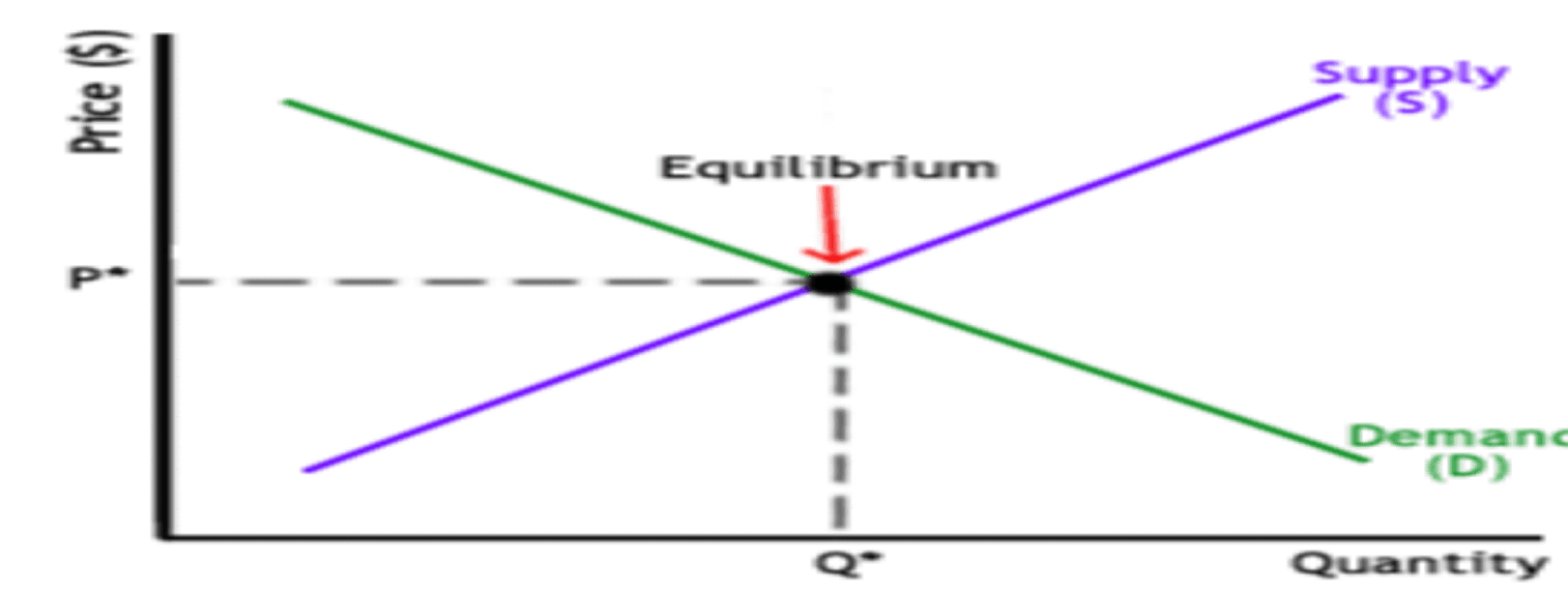 demand supply curve