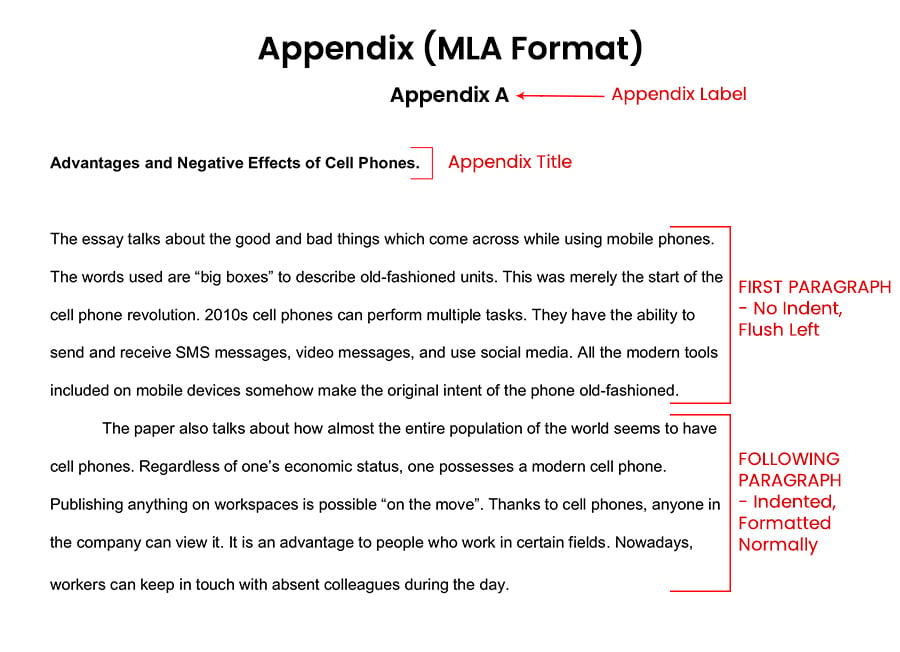 appendix in essay example