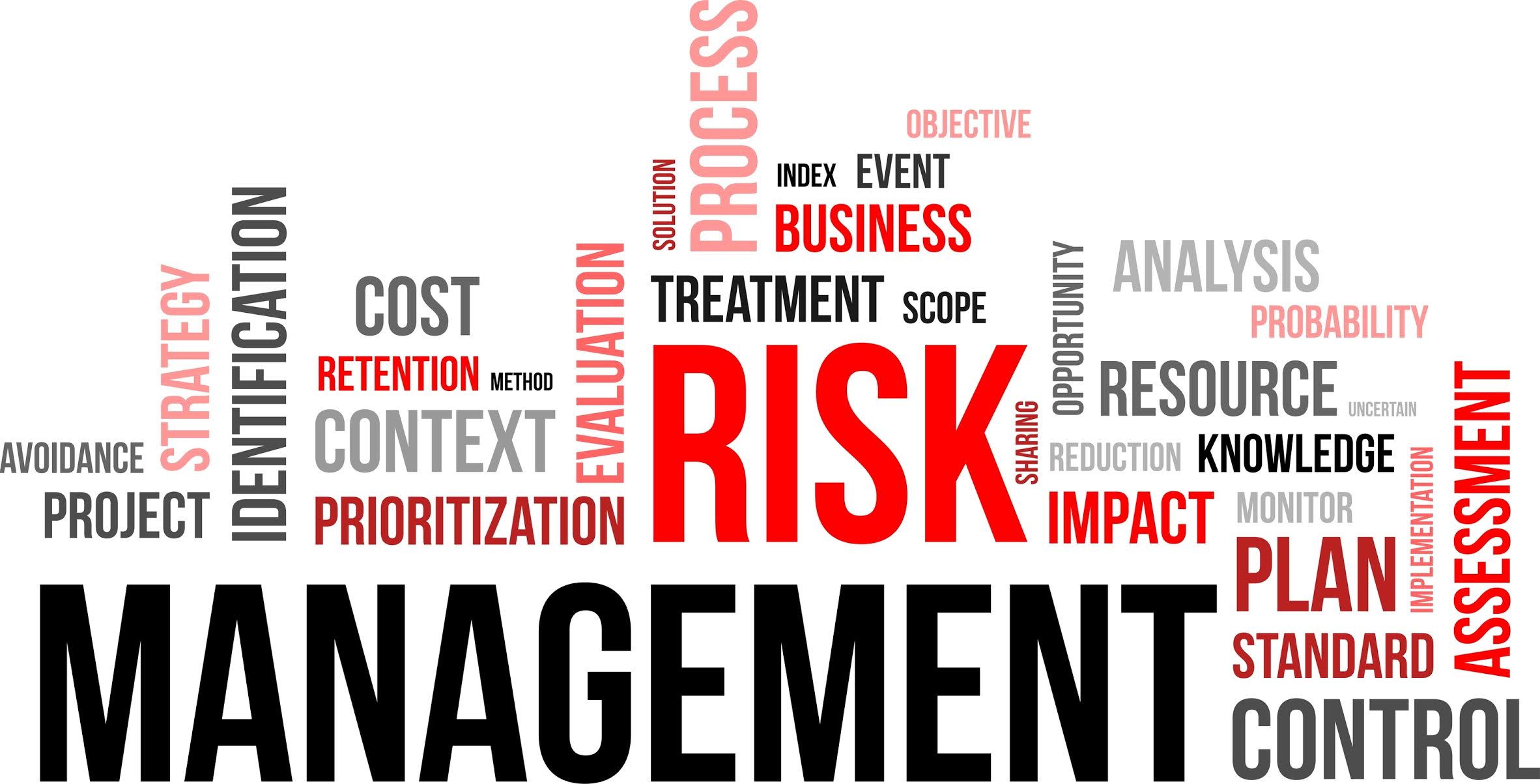 risk management