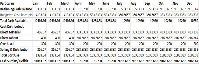 Cash Flow Statement of a small business