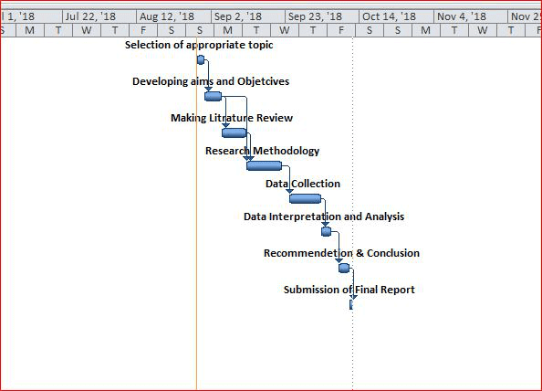 Progress Plan for Project Management 