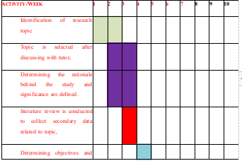 Project time frame