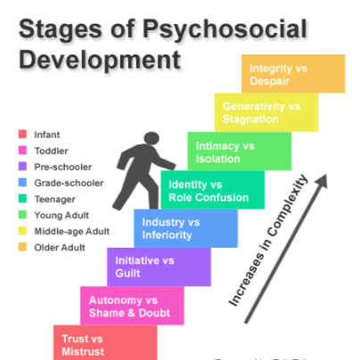 Stages of Psychology Development