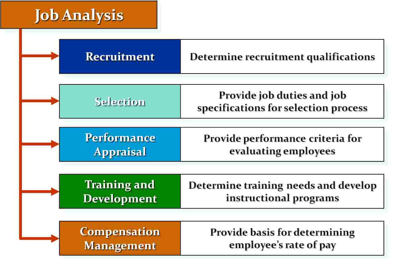 Job Analysis