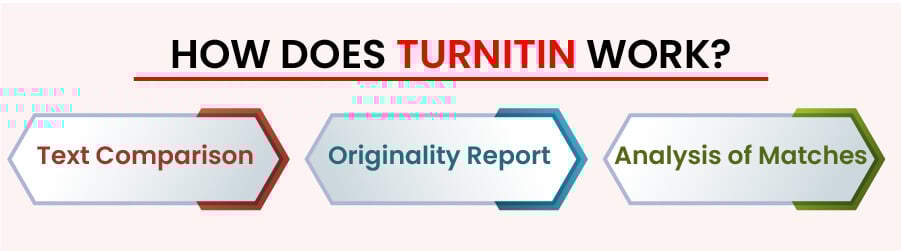 how does turnitin work
