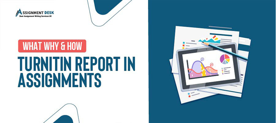Important Points of Turnitin Report