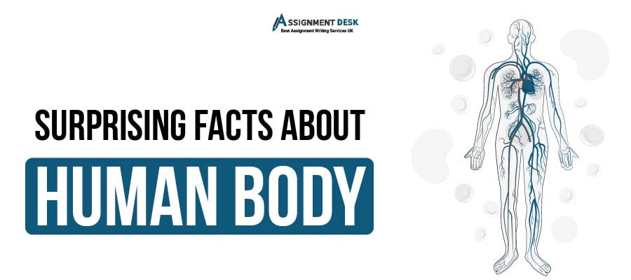 Facts on Human Body